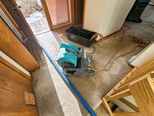 Best Flood damage cleanup  in Hapeville, GA