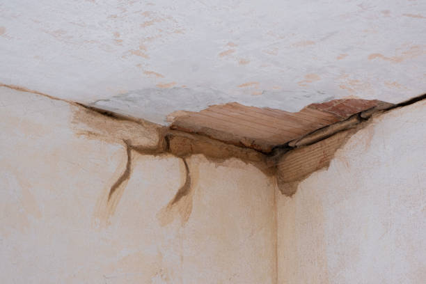 Best 24-hour water damage restoration  in Hapeville, GA