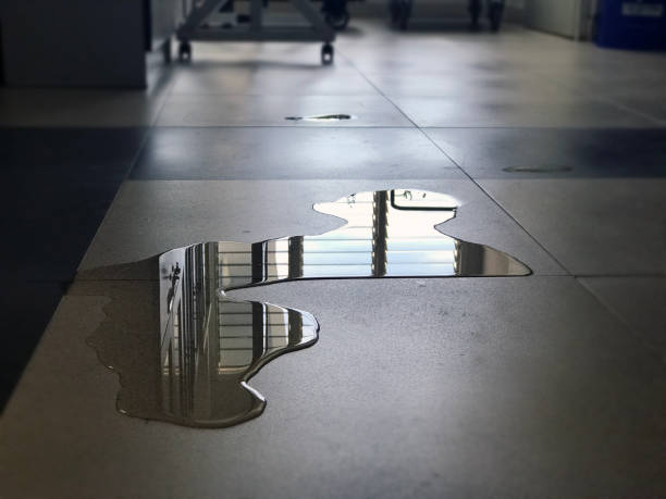 Best 24-hour water damage restoration  in Hapeville, GA